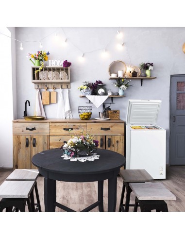 Congeladora 99LTS IRT