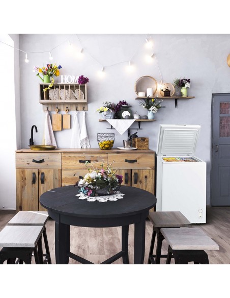 Congeladora 99LTS IRT