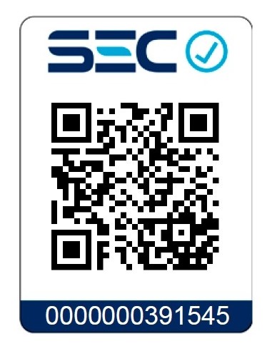 Combo Secador Y Alisador De Viaje Revlon