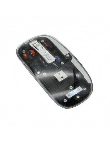 MOUSE NEGRO INALAMBRICO CON LUZ FUJITEL