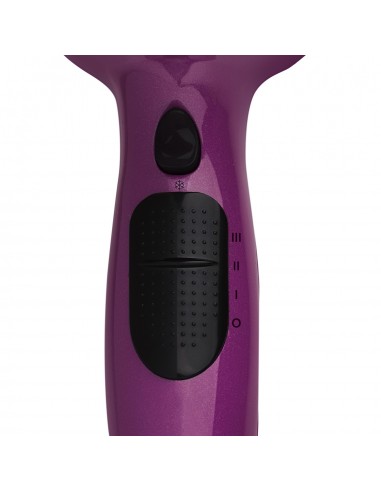 Secador Púrpura Control Frizz Revlon
