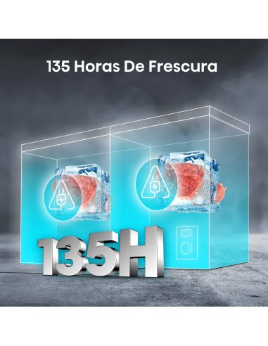 Freezer Horizontal 96Lt frío directo dual Hisense