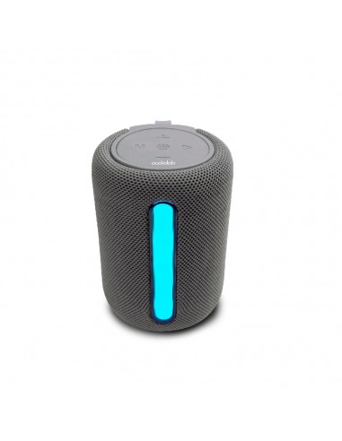 Parlante inalambrico portable Audiolab