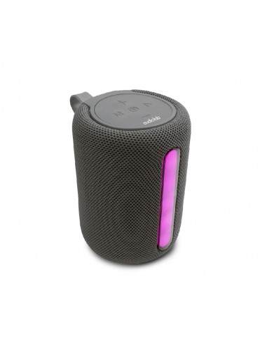 Parlante inalambrico portable Audiolab