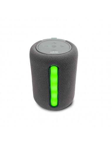 Parlante inalambrico portable Audiolab