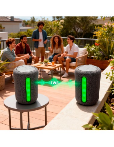 Parlante inalambrico portable Audiolab